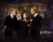 Fred, Ron, Ginny, George.jpg